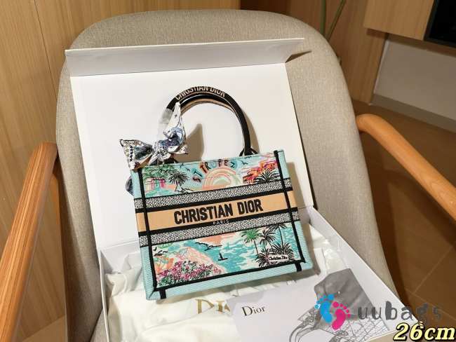 Uubags Christian Dior Book Tote Embroidered Canvas Bag In Blue 26.5x22x14cm - 1
