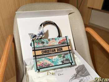 Uubags Christian Dior Book Tote Embroidered Canvas Bag In Blue 26.5x22x14cm