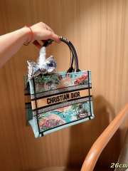 Uubags Christian Dior Book Tote Embroidered Canvas Bag In Blue 26.5x22x14cm - 4