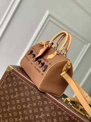 Uubags Louis Vuitton Fellowship Canvas Speedy Bandoulière 25 Bag In Brown 25x19x15cm - 2