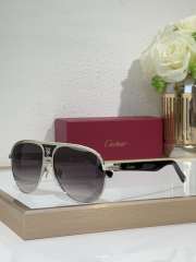 Uubags Cartier CT0436 sunglasses  - 2