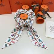 Uubags Hermes Couvertures et Tenues de Jour Twilly Scarf 01 - 4