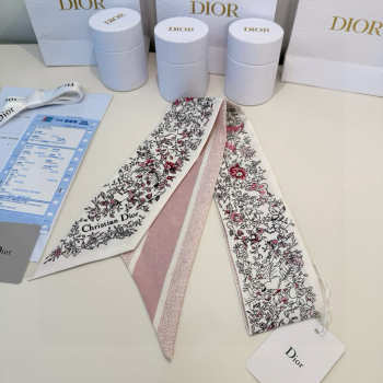 Uubags Twilly Dior New Scarf 04