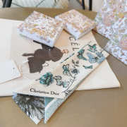 Uubags Dioriviera Toile de Jouy Sauvage Mitzah Scarf In Blue - 5