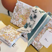 Uubags Dioriviera Toile de Jouy Sauvage Mitzah Scarf In Blue - 2