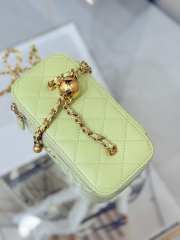 Uubags Chanel Classic Vanity Case Granied Calfskin & Gold-Tone Metal Light Green 17x9.5x8cm - 5