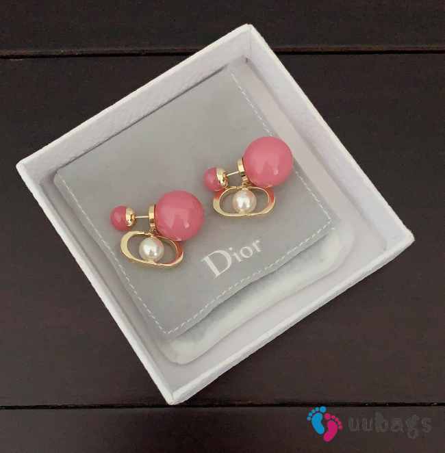 Uubags Dior Tribales Mise en Dior Matte Salmon Pink Gold Tone Stud Earrings - 1