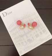 Uubags Dior Tribales Mise en Dior Matte Salmon Pink Gold Tone Stud Earrings - 2