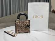 Uubags Lady Dior M0505 Three-Grid Embroidered Feather and Pearl Bag 17x15x7cm - 6