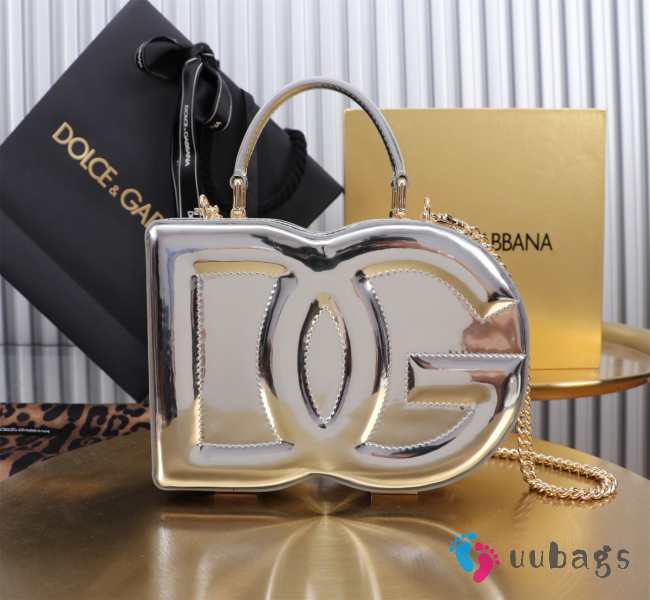 Uubags Dolce & Gabbana Logo Bag crossbody box bag in silver 15x20x6cm - 1