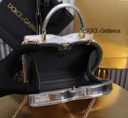 Uubags Dolce & Gabbana Logo Bag crossbody box bag in silver 15x20x6cm - 5