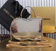 Uubags Dolce & Gabbana Logo Bag crossbody box bag in silver 15x20x6cm - 2