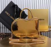 Uubags Dolce & Gabbana Logo Bag crossbody box bag in gold 15x20x6cm - 4