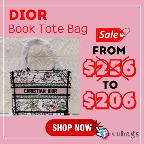 Uubags Small Dior Book Tote Bag Multicolor Dior Saisons Printemps-Ete Embroidery 26.5x22x14cm - 1