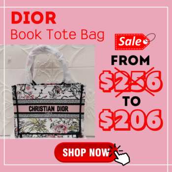 Uubags Small Dior Book Tote Bag Multicolor Dior Saisons Printemps-Ete Embroidery 26.5x22x14cm