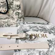 Uubags Dior Lucky 30 Montaigne Star Belt White Smooth Calfskin With Silver Buckle 2cm - 2