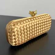 Uubags Bottega Veneta Minaudière Clutch In Gold 25x10x5cm - 5