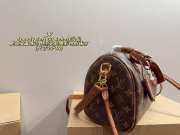 Uubags Louis Vuitton Speedy Soft 30 Boho Pillow Bag 30x19cm - 2