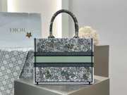 Uubags Christian Dior Book Tote Bag 36cm Jardin d'Hiver Embroidery in Green 36x28x16cm - 2
