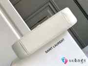 Uubags YSL mix and match  - 5