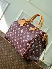 Uubags ouis Vuitton N88228 Speedy P9 40 Monogram Bag Burgundy Ostrich Leather 40x26x23cm - 6
