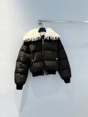 Uubags Louis Vuitton 1AIPHC Ski Feather Collar Puffer Jacket In Black - 5