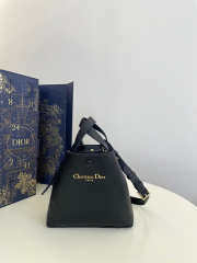 Uubags Dior Small Signature Bucket Bag Black Grained Calfskin 21x11x19cm  - 1