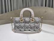 Uubags Dior M0613 D-Joy Bag with Embroidered Calfskin and Beads In Grey 22x12x6cm - 6