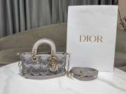 Uubags Dior M0613 D-Joy Bag with Embroidered Calfskin and Beads In Grey 22x12x6cm - 3