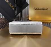 Uubags Dolce & Gabbana Small Sicily Handbag Silver Bag 18x11x6cm - 6
