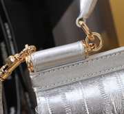 Uubags Dolce & Gabbana Small Sicily Handbag Silver Bag 18x11x6cm - 3