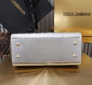 Uubags Dolce & Gabbana Medium Sicily Handbag Silver Bag 25x12x20cm - 6