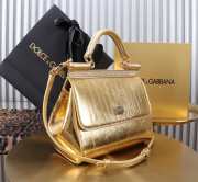Uubags Dolce & Gabbana Small Sicily Handbag Gold Bag 20x16x8cm - 3