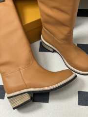 Uubags Louis Vuitton Biker High Boot In Brown - 6