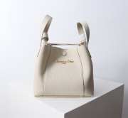 Uubags Dior Small Signature Bucket Bag White Grained Calfskin 21x11x19cm - 1
