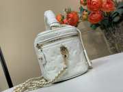 Uubags Louis Vuitton M25123 Vanity PM Bag In White Puffy Lambskin 19x13x11cm - 6
