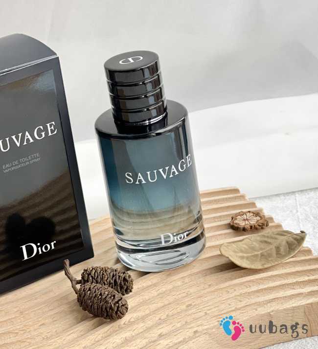 Uubags Dior Sauvage EDT 100ml Men's Perfume 100ml - 1