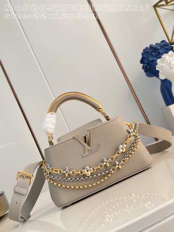 Uubags Louis Vuitton Capucines East-West Mini Bag In Light Grey 22x12x8cm