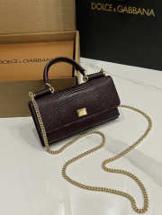 Uubags Dolce & Gabbana Iguana-print calfskin mini bag in dark chocolate 11x20x3cm - 5