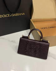 Uubags Dolce & Gabbana Iguana-print calfskin mini bag in dark chocolate 11x20x3cm - 4