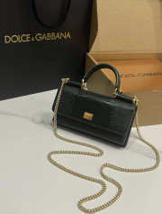 Uubags Dolce & Gabbana Iguana-print calfskin mini bag in dark green 11x20x3cm - 4