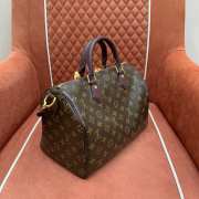 Uubags Louis Vuitton M28379 Speedy 30 Soft Celebration Bag Monogram Canvas 30x21x17cm - 5