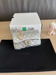 Uubags Chanel Classic Mini Bag In Metallic calfskin & gold metal 20x12.5x6cm - 1