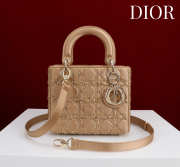 Uubags Lady Dior Small Bag In Beige Beaded Cannage Embroidery Bag 20x16.5x8cm - 1