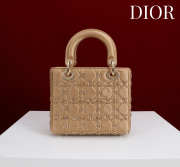 Uubags Lady Dior Small Bag In Beige Beaded Cannage Embroidery Bag 20x16.5x8cm - 5