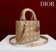 Uubags Lady Dior Small Bag In Beige Beaded Cannage Embroidery Bag 20x16.5x8cm - 4