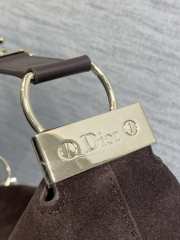 Uubags Dior Hobo Bag in Dark Brown Suede & Smooth Calfskin With Gold Hardware 28x24x8cm - 6