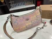 Uubags Coach Mini Teri Shoulder Bag In Rainbow Signature Canvas 16x14cm - 4