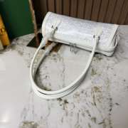 Uubags Goyard Bonbonnière bag in white 30x10.5x12cm - 3