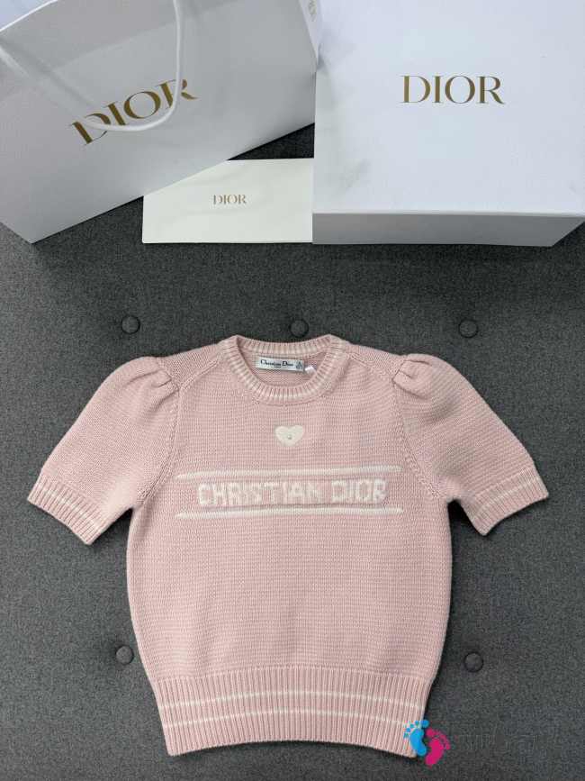 Uubags Dior Short-Sleeved Sweater Pink Virgin Wool-Cashmere Knit - 1